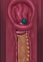 Feather fansadox 432 - Each girl will completely lose control of her body